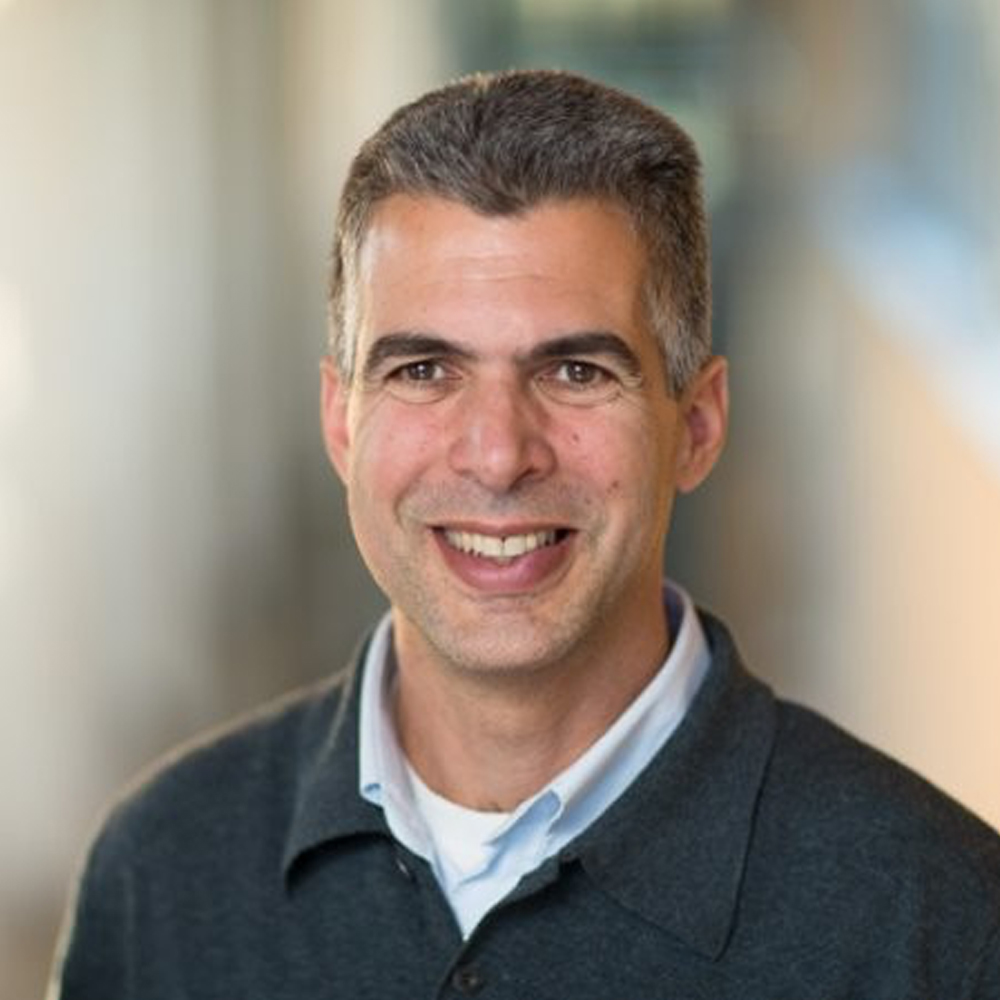 Prof. Nir Vulkan